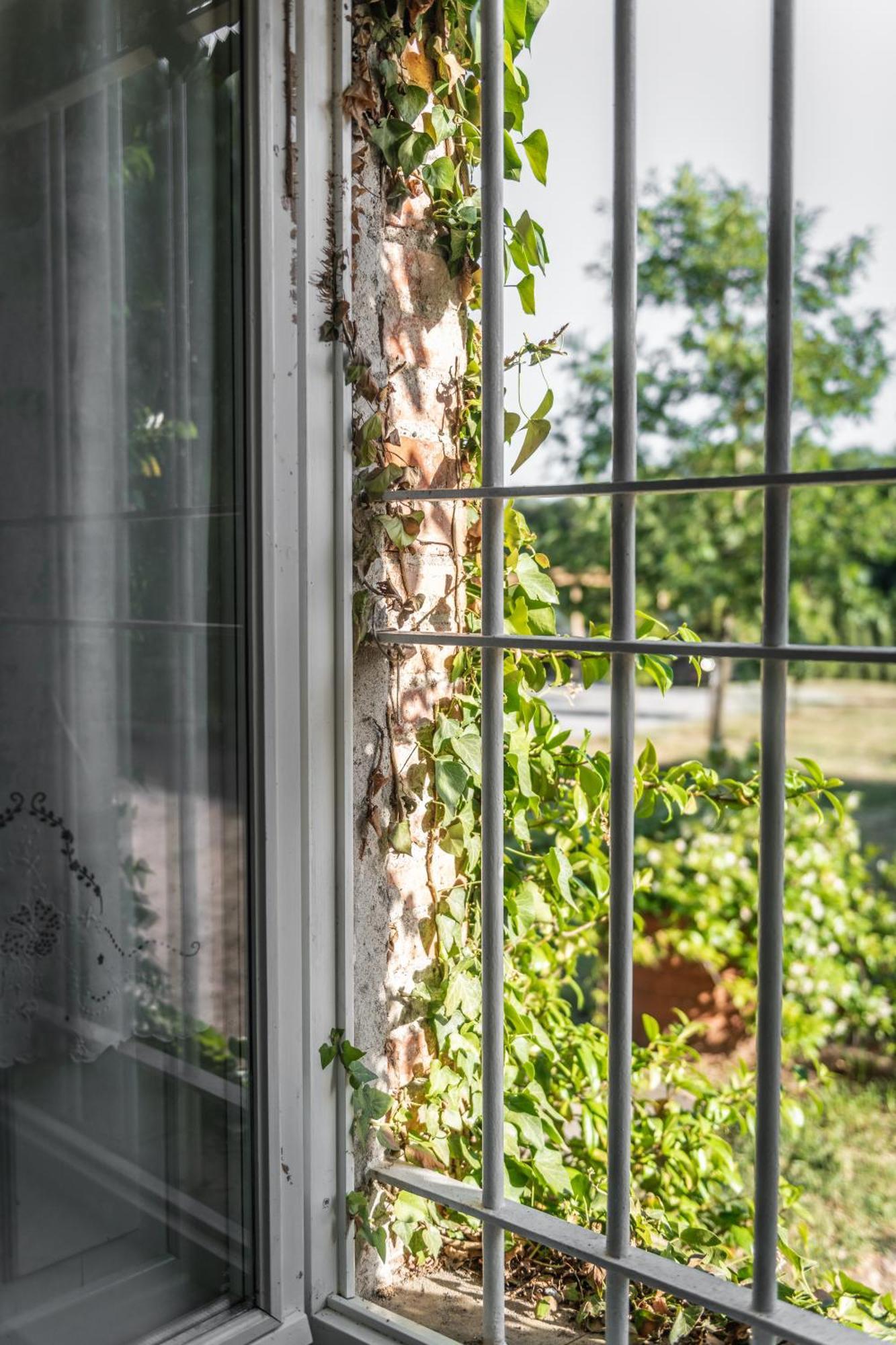 Vila Casolare Del Pin Bono Altopascio Exteriér fotografie